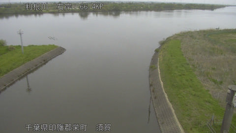 tonsu2026041810_image