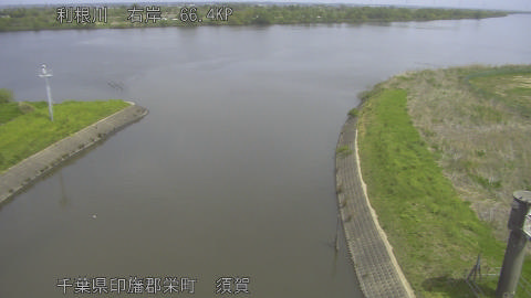 tonsu2026041811_image