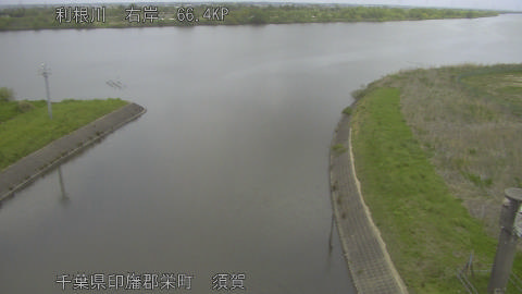 tonsu2026041812_image