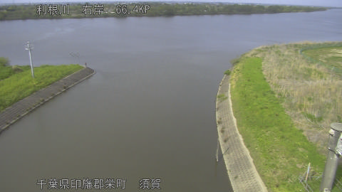 tonsu2026041815_image