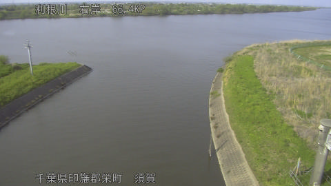 tonsu2026041816_image