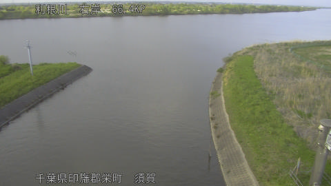 tonsu2026041817_image