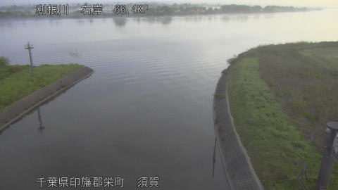 tonsu2026041906_image