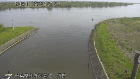 tonsu2026041909_image