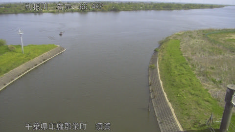 tonsu2026041910_image