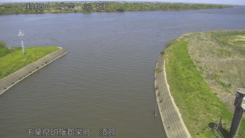 tonsu2026041912_image