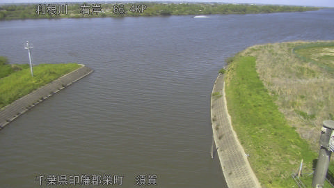 tonsu2026041914_image