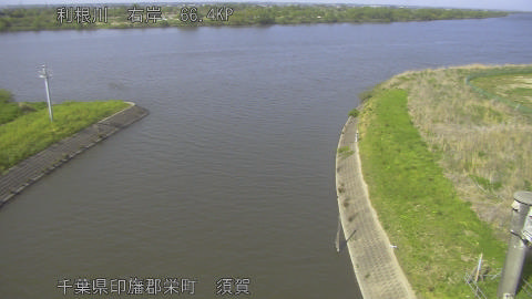 tonsu2026041915_image