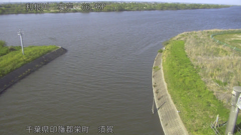 tonsu2026041916_image