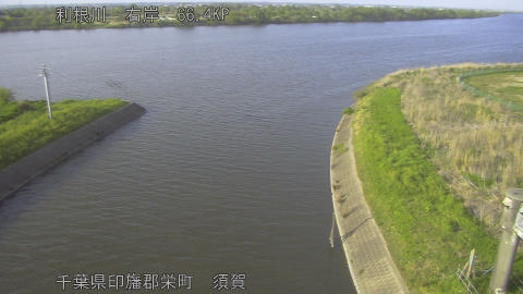 tonsu2026041917_image