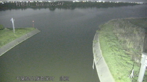 tonsu2026042003_image