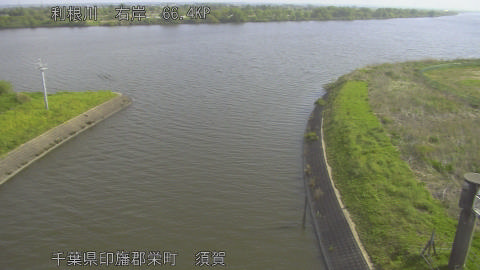 tonsu2026042008_image