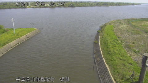 tonsu2026042009_image