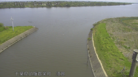 tonsu2026042010_image