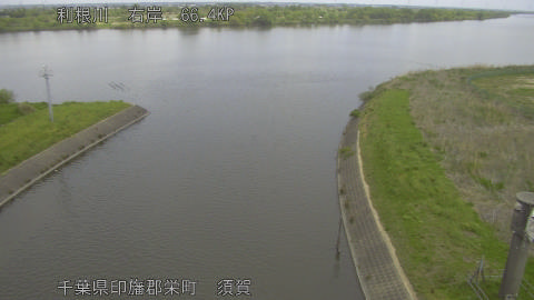 tonsu2026042011_image