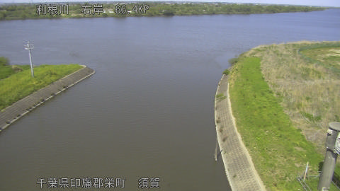 tonsu2026042014_image