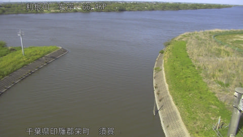 tonsu2026042015_image