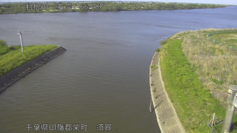 tonsu2026042016_image