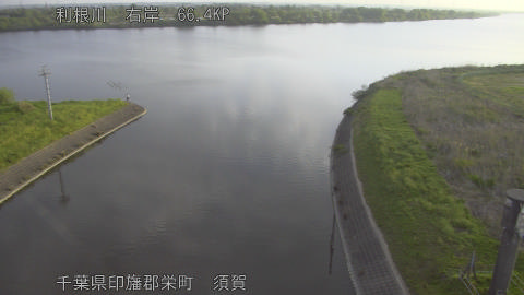 tonsu2026042106_image