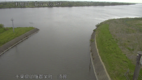 tonsu2026042108_image