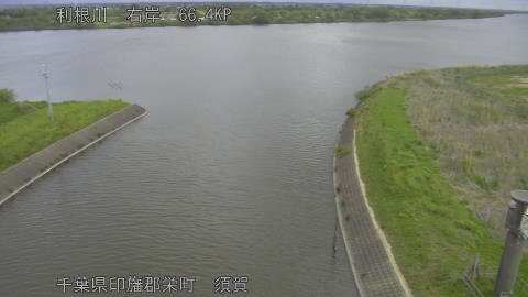 tonsu2026042109_image