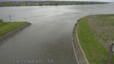 tonsu2026042110_image