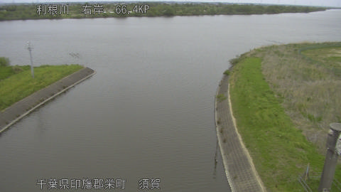 tonsu2026042113_image