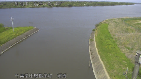 tonsu2026042114_image