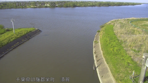 tonsu2026042116_image