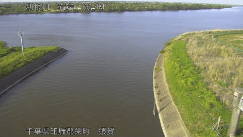 tonsu2026042117_image