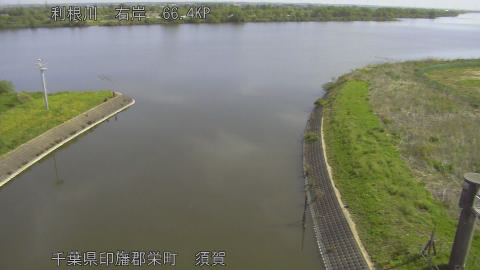 tonsu2026042209_image