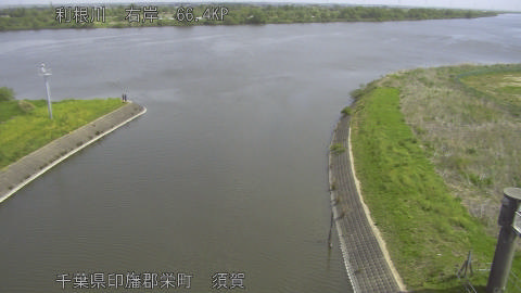 tonsu2026042210_image