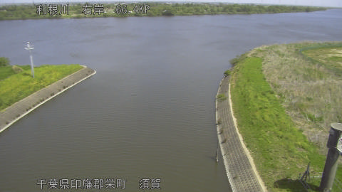 tonsu2026042211_image