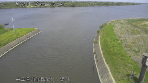 tonsu2026042212_image