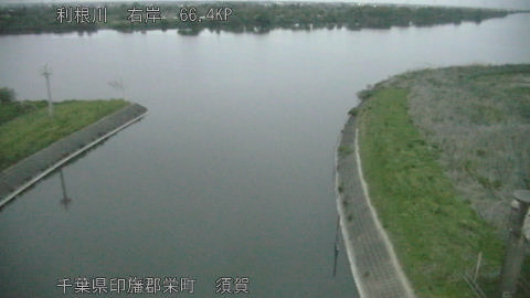 tonsu2026042305_image