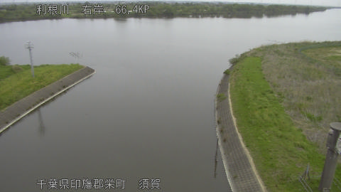 tonsu2026042309_image