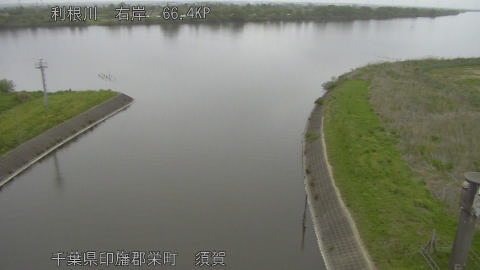 tonsu2026042312_image