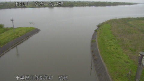 tonsu2026042314_image