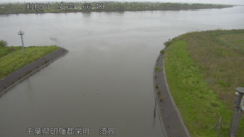 tonsu2026042316_image