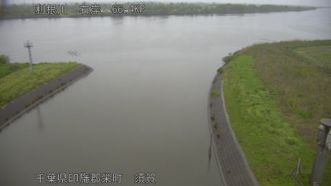 tonsu2026042318_image