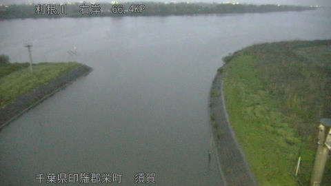 tonsu2026042319_image