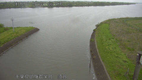 tonsu2026042406_image