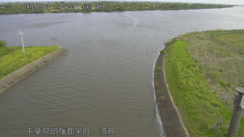 tonsu2026042409_image