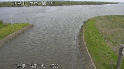 tonsu2026042410_image