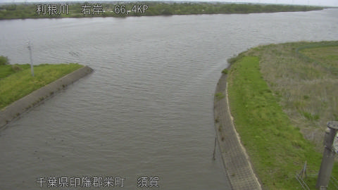 tonsu2026042411_image