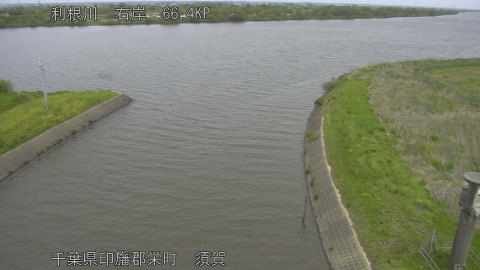 tonsu2026042412_image