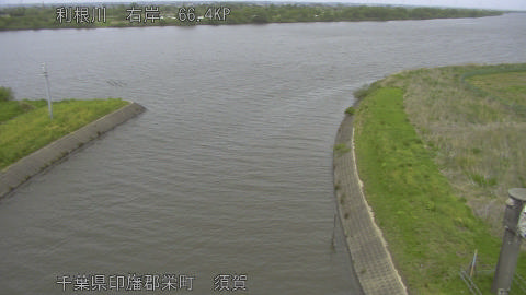 tonsu2026042413_image