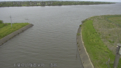 tonsu2026042414_image