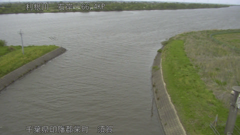 tonsu2026042416_image