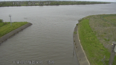 tonsu2026042417_image